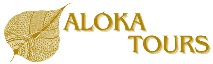 Aloka Tours